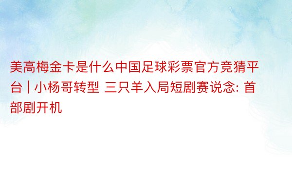 美高梅金卡是什么中国足球彩票官方竞猜平台 | 小杨哥转型 三只羊入局短剧赛说念: 首部剧开机