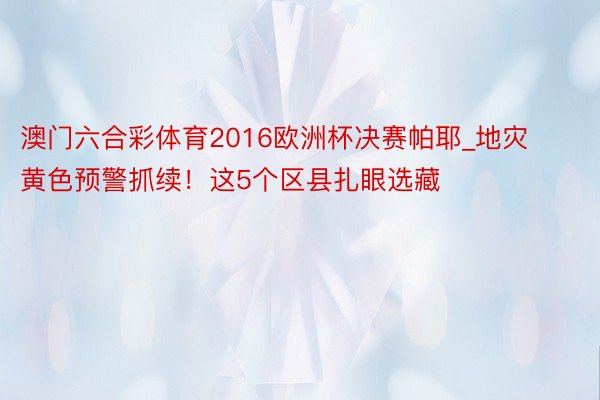 澳门六合彩体育2016欧洲杯决赛帕耶_地灾黄色预警抓续！这5个区县扎眼选藏