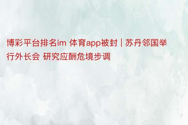 博彩平台排名im 体育app被封 | 苏丹邻国举行外长会 研究应酬危境步调